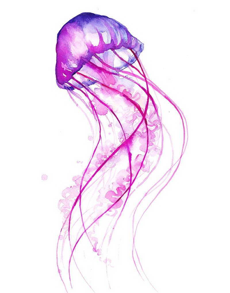 00396 JELLYFISH WATERCOLOUR ART IMAGE Wall Print POSTER CA 00396 JELLYFISH WATERCOLOUR ART IMAGE Wall Print POSTER CA