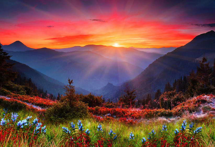 09915 Morning Sunrise - Mountains And Flowers Nature Art Wall Print POSTER AU 09915 Morning Sunrise - Mountains And Flowers Nature Art Wall Print POSTER AU