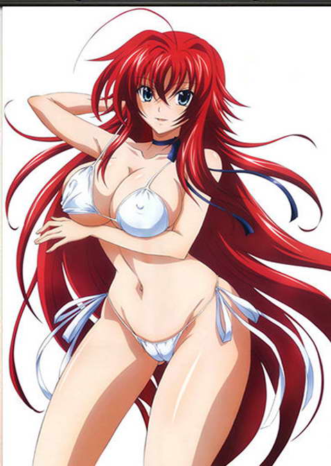 Image Is Loading High School Dxd Rias Gremory Sexy Anime Girls Image Is Loading High School Dxd Rias Gremory Sexy Anime Girls