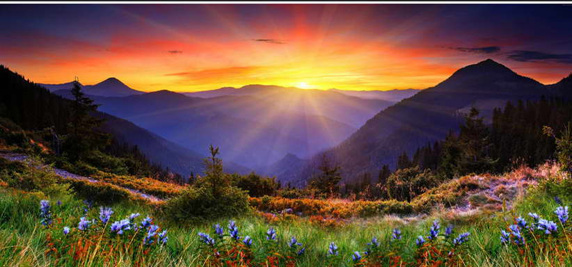 13266 Mountains Flower Sunset Nature Wall Print POSTER CA 13266 Mountains Flower Sunset Nature Wall Print POSTER CA