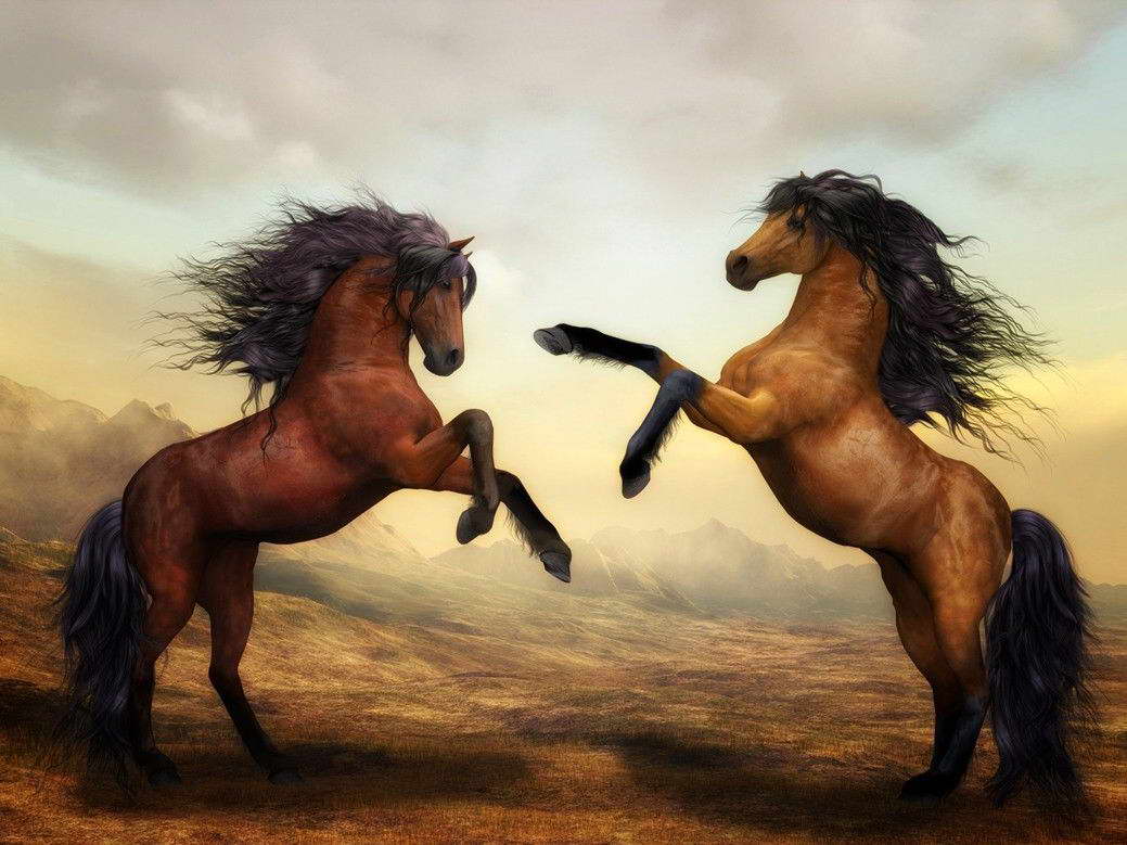16779 Galloping Horses Wall Print POSTER AU 16779 Galloping Horses Wall Print POSTER AU