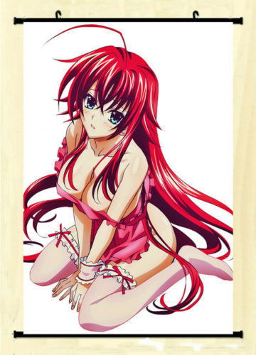 Lyc E Dxd Rias Gremory Sexy Anime Girls Wall Poster Print Affiche Eur Picclick Fr