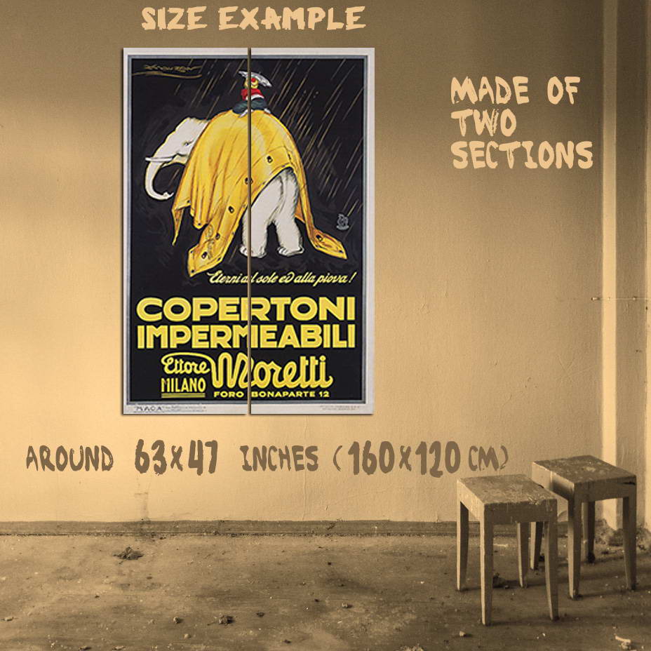 189960 WHITE ELEPHANT RAIN COPERTONI IMPERMEABILI Wall Print Poster