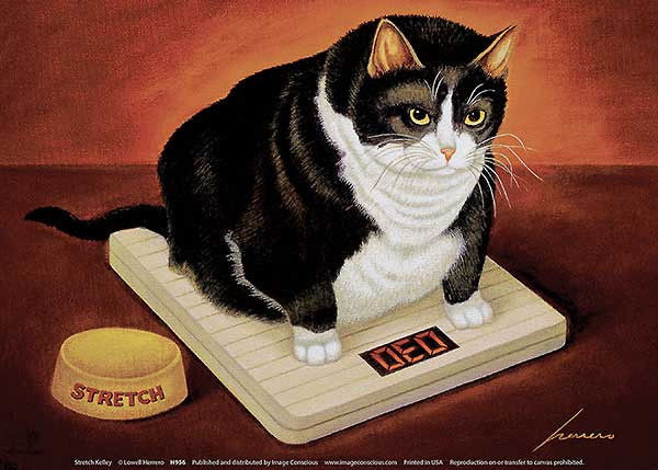 176072 CAT Stretch Kelley by Lowell Herrero Kitty Cats WALL PRINT POSTER CA 176072 CAT Stretch Kelley by Lowell Herrero Kitty Cats WALL PRINT POSTER CA