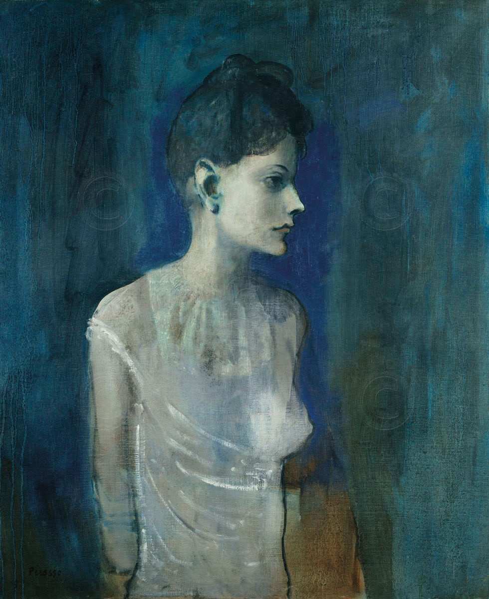 176455 Girl in a Chemise, c. 1905 by Pablo Picasso Decor WALL PRINT POSTER CA 176455 Girl in a Chemise, c. 1905 by Pablo Picasso Decor WALL PRINT POSTER CA