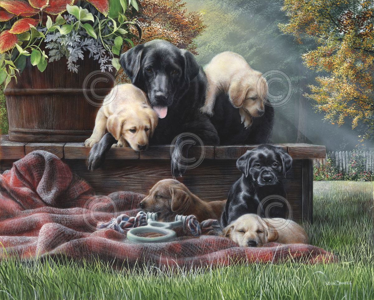 176708 DOG Cozy Moments by Kevin Daniel Lab Labrador Decor WALL PRINT POSTER AU 176708 DOG Cozy Moments by Kevin Daniel Lab Labrador Decor WALL PRINT POSTER AU