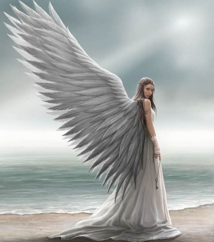 192296 Anne Stokes Angel Rose Wall Print Poster CA