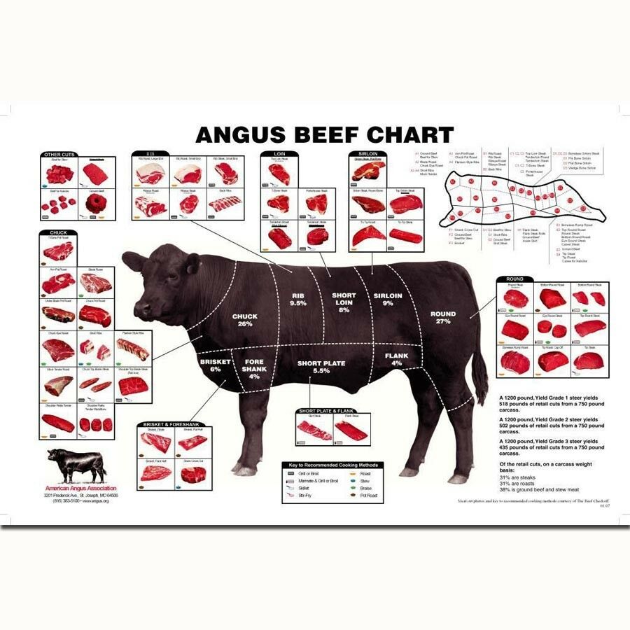 249736 BEEF CUTS diagram Cooking Meal Meat Animal BBQ Chart manifesto