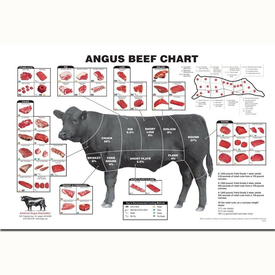 249943 CATTLE BUTCHER Chart Beef Cuts Diagram Meat POSTER PRINT AU EUR