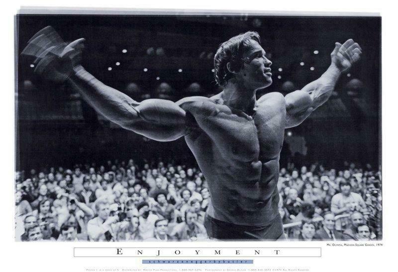 283491 ARNOLD SCHWARZENEGGER Mr. Olympia 1972 POSTER AFFICHE EUR 10,74 ...