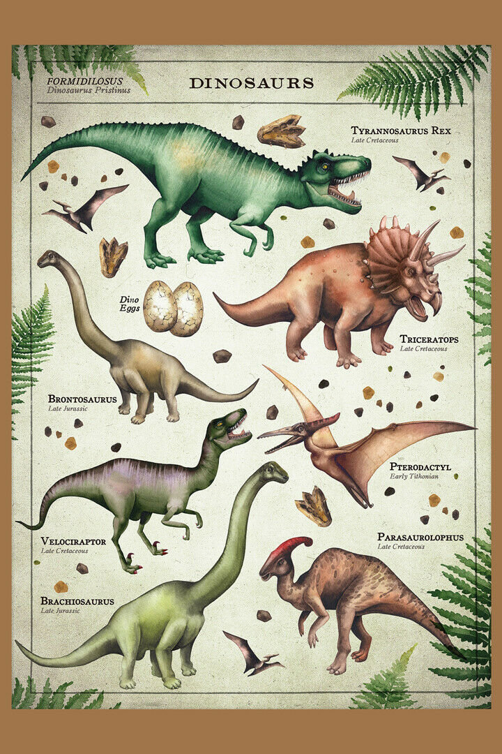 367093 DINOSAUR EVOLUTION Educational Chart Reptile Art Print Poster ...