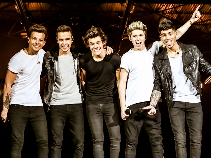 V1890 One Direction Funny Pop Band Music Decor WALL POSTER PRINT - Picture 8 of 13
