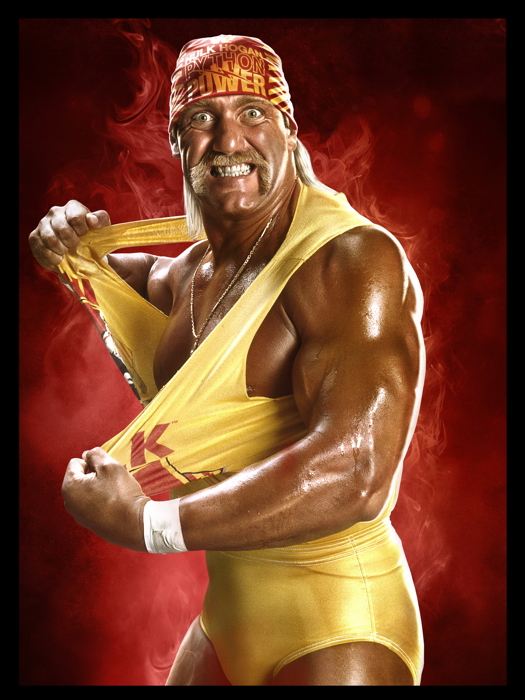 V3555 Hulk Hogan Wrestling Terry Gene Bollea Sport Decor WALL POSTER PRINT