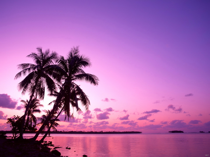 V5577 Purple Sunset Tropical Beach Palm Trees Nature Decor WALL POSTER PRINT UK - Picture 8 of 13