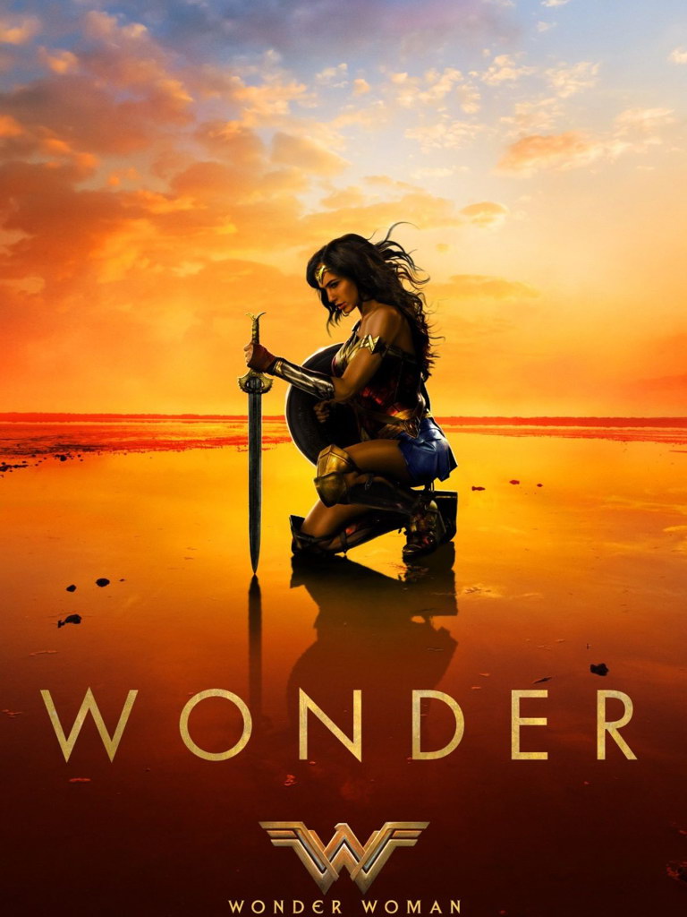 V7700 Wonder Woman Amazing Character Cool Movie Film Art Decor WALL POSTER PRINT