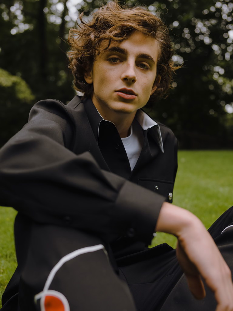 V8335 Timothee Chalamet Cool Portrait Nature Handsome Actor WALL POSTER PRINT CA